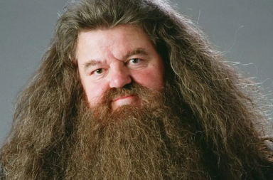 Harry Potter Hagrid
