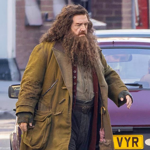 Harry Potter Hagrid