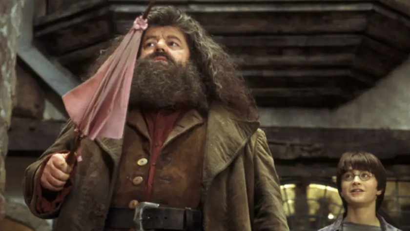 Harry Potter Hagrid