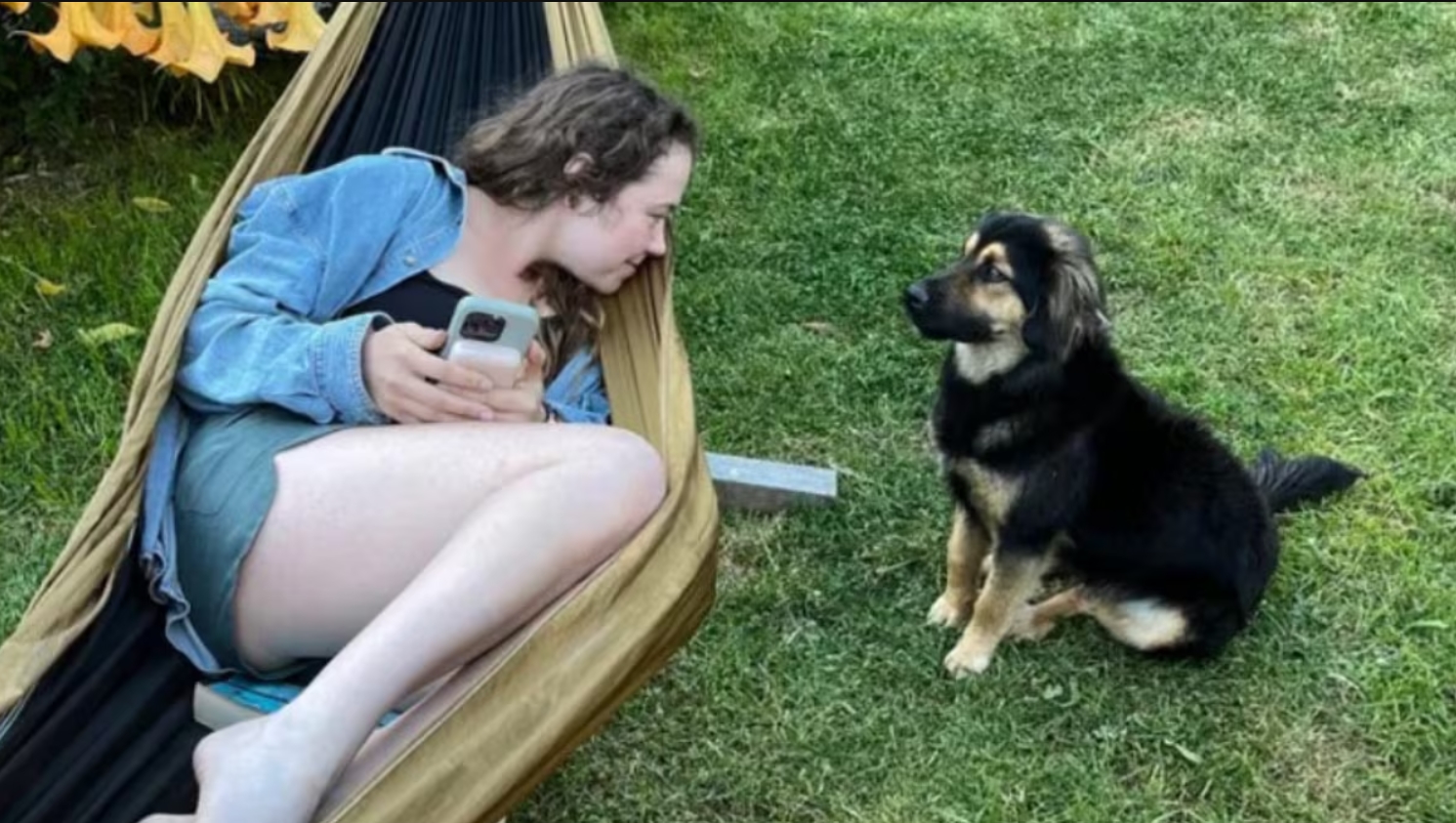 Paddington perro callejero Inglaterra